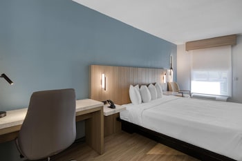 Standard Room, 1 King Bed, Accessible, Non Smoking