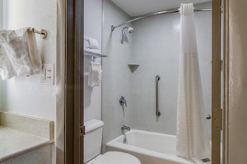 Suite, 1 King Bed, Non Smoking, Courtyard View
