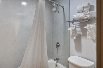 Standard Room, 1 King Bed, Non Smoking, Refrigerator & Microwave (Larger Room)