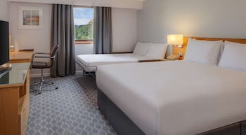 Family Room, 1 Double Bed