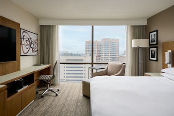 Room, 1 King Bed