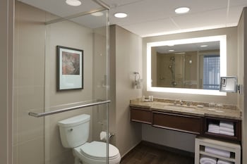 Room, 1 King Bed (Mobility Accessible, Roll-In Shower)