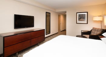 One Bedroom Suite. 1 King Bed with Sofa bed, Accessible, Roll in Shower
