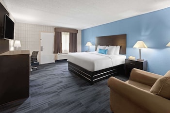 Room, 1 King Bed, Non Smoking, Poolside