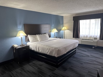Room, 1 King Bed, Accessible, Non Smoking (Mobility, Roll-In Shower)