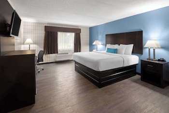 Room, 1 King Bed, Non Smoking, Poolside (Pet Friendly)