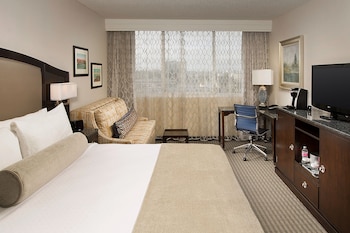 Room, 1 King Bed
