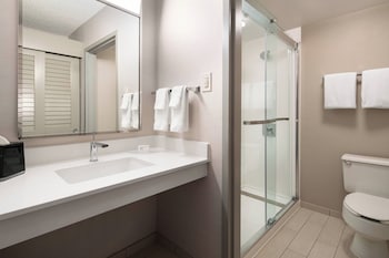 Room, 1 King Bed (Hearing Accessible)