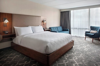 Room, 1 King Bed (Mobility Accessible, Roll-In Shower)