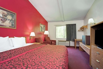 Room, 1 King Bed, Smoking