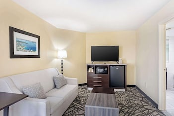 Standard Room, 1 King Bed, Non Smoking, Refrigerator & Microwave