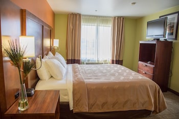 Suite, 1 King Bed, Accessible, Non Smoking (Efficiency)