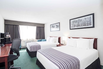Room, 1 Queen Bed (Run of House, 1 Queen Bed)