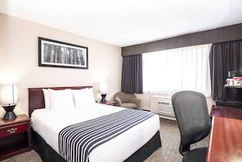 Room, 1 Queen Bed (Run of House, 1 Queen Bed)