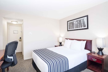 Room, 1 Queen Bed (Run of House, 1 Queen Bed)