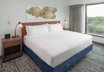 Room, 1 Queen Bed (Mobiltiy, Bathtub)