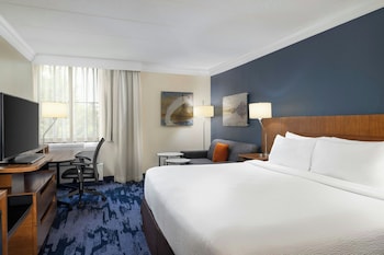 Suite, 1 King Bed with Sofa bed