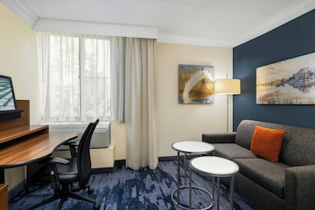 Suite, 1 King Bed with Sofa bed