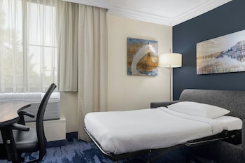 Suite, 1 King Bed with Sofa bed