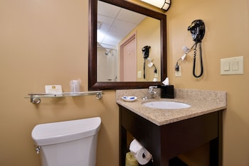 Standard Room, 1 King Bed, Non Smoking, Refrigerator & Microwave