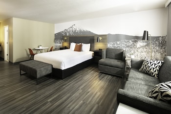 Premium Room, 1 California King Bed