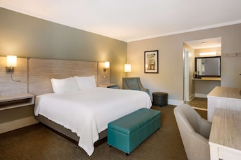 Standard Room, 1 King Bed, Non Smoking, Refrigerator & Microwave