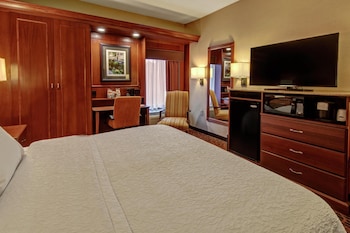 Room, 1 King Bed, Accessible, Non Smoking