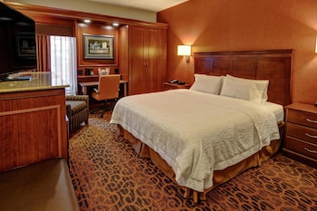 Room, 1 King Bed, Accessible