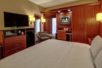 Room, 1 King Bed, Accessible