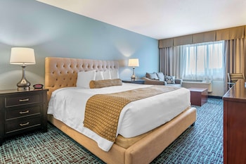Standard Room, 1 King Bed, Accessible, Refrigerator & Microwave (with Sofabed)