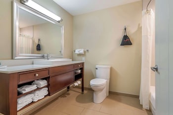 Standard Room, 1 King Bed, Accessible, Refrigerator & Microwave (with Sofabed)