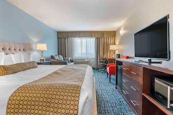 Standard Room, 1 King Bed, Accessible, Refrigerator & Microwave (with Sofabed)