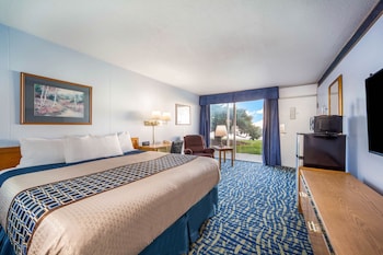 Room, 1 King Bed, Non Smoking