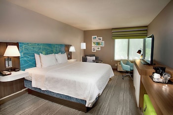 Room, 1 King Bed, Non Smoking