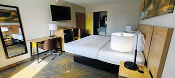 Room, 1 King Bed, Smoking (Pet Friendly)
