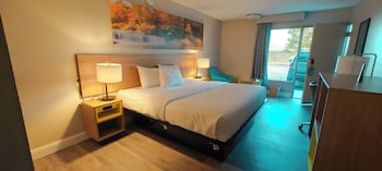 Standard Room, 1 King Bed
