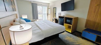 Room, 1 King Bed, Smoking (Pet Friendly)