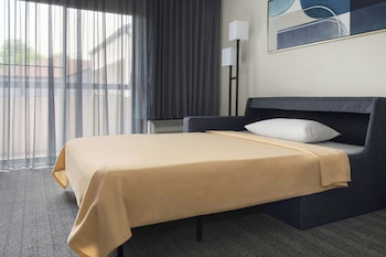 Room, 1 King Bed with Sofa bed