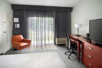 Room, 1 King Bed with Sofa bed (Mobility/Hearing Access, Roll-in Shwr)