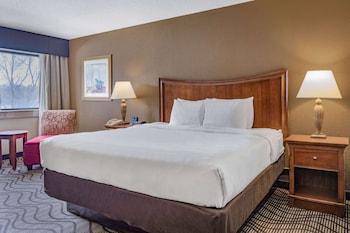 Room, 1 King Bed, Non Smoking