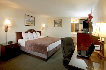Standard Room, 1 King Bed, Non Smoking, Refrigerator & Microwave