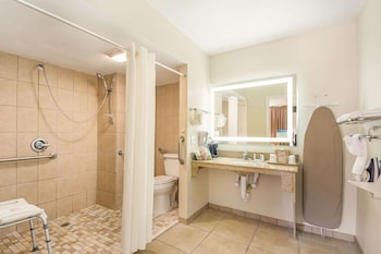 Room, 1 Queen Bed, Accessible, Non Smoking (Roll-In Shower)