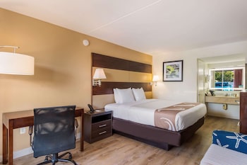 Suite, 1 King Bed with Sofa bed, Non Smoking (Upgrade)
