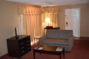 Studio Suite, 1 Queen Bed, Accessible, Non Smoking