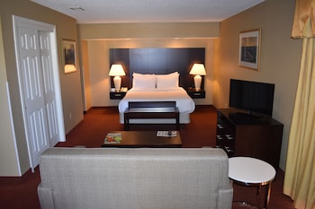 Studio Suite, 1 Queen Bed, Non Smoking