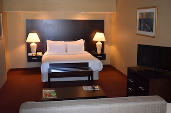 Studio Suite, 1 Queen Bed, Non Smoking
