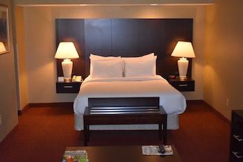 Studio Suite, 1 Queen Bed, Accessible, Non Smoking