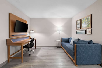 Room, 1 King Bed with Sofa bed, Non Smoking