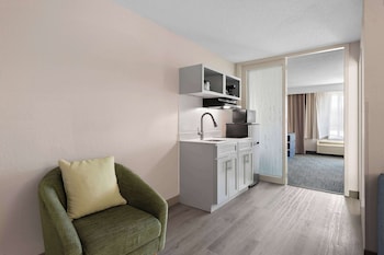 Suite, 1 King Bed with Sofa bed, Non Smoking (Upgrade)
