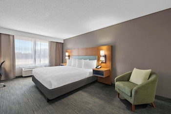 Room, 1 King Bed, Non Smoking